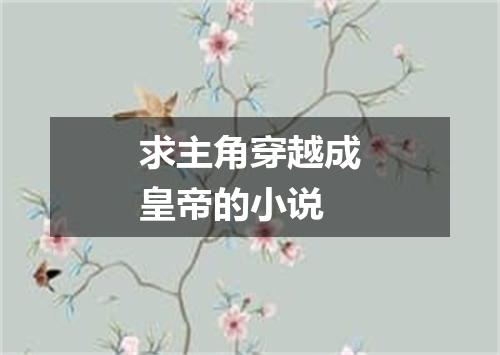 求主角穿越成皇帝的小说