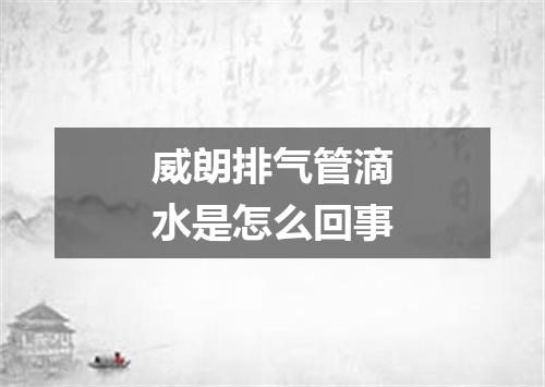 威朗排气管滴水是怎么回事