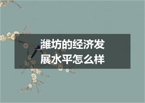 潍坊的经济发展水平怎么样