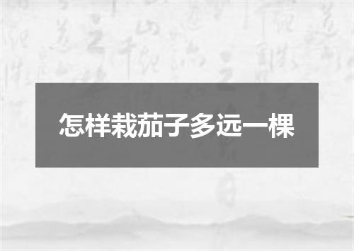 怎样栽茄子多远一棵