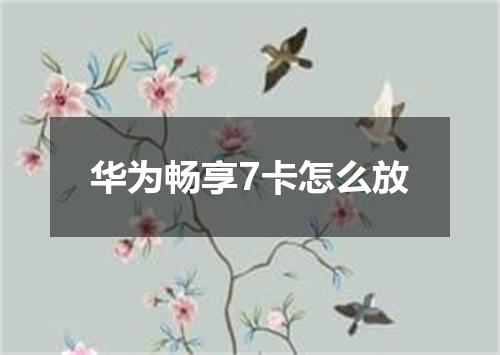 华为畅享7卡怎么放