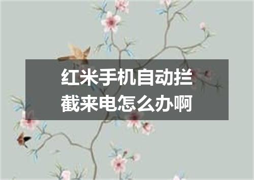 红米手机自动拦截来电怎么办啊