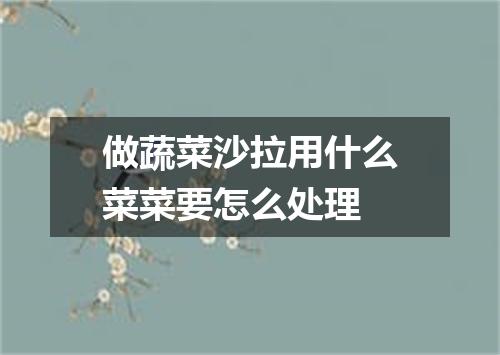 做蔬菜沙拉用什么菜菜要怎么处理