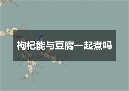 枸杞能与豆腐一起煮吗