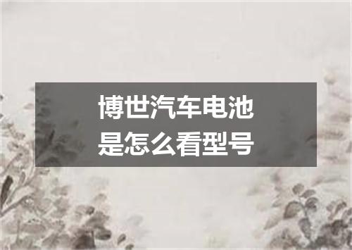 博世汽车电池是怎么看型号
