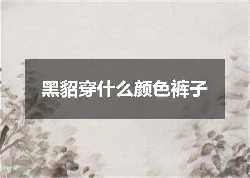 黑貂穿什么颜色裤子