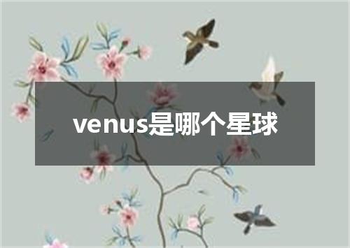 venus是哪个星球
