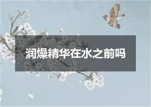 润燥精华在水之前吗