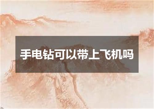 手电钻可以带上飞机吗