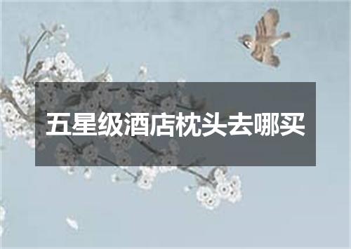 五星级酒店枕头去哪买