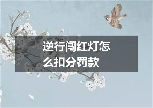 逆行闯红灯怎么扣分罚款