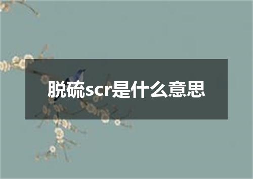 脱硫scr是什么意思