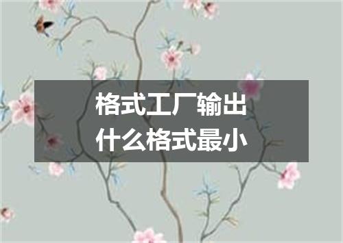 格式工厂输出什么格式最小