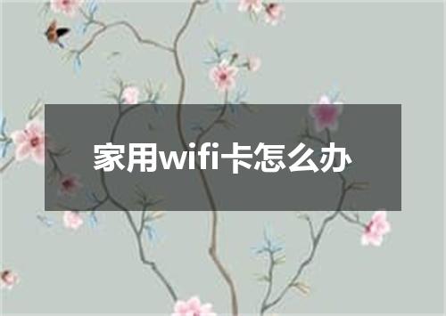 家用wifi卡怎么办