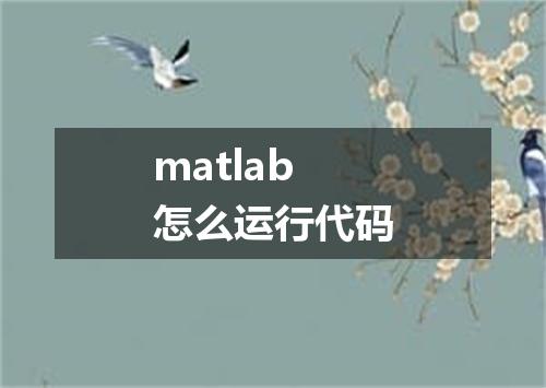 matlab怎么运行代码