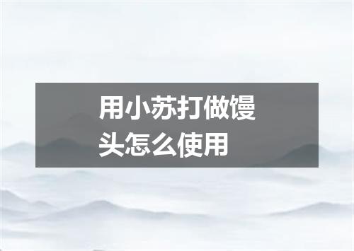 用小苏打做馒头怎么使用