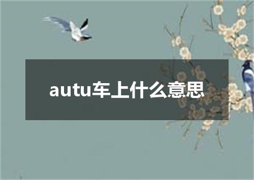 autu车上什么意思