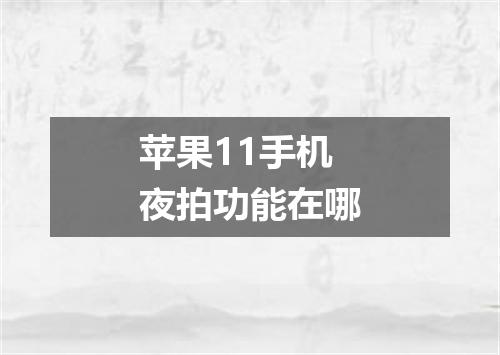 苹果11手机夜拍功能在哪