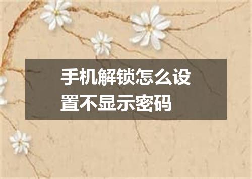手机解锁怎么设置不显示密码