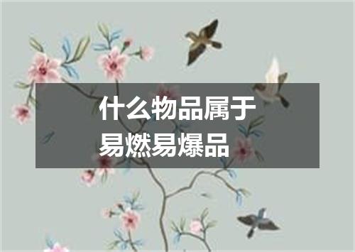 什么物品属于易燃易爆品