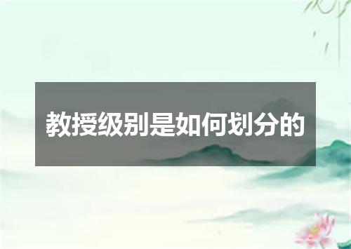 教授级别是如何划分的