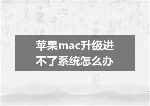 苹果mac升级进不了系统怎么办