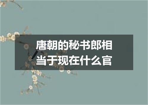 唐朝的秘书郎相当于现在什么官