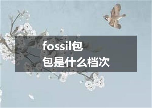 fossil包包是什么档次