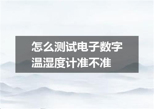 怎么测试电子数字温湿度计准不准
