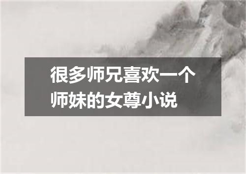 很多师兄喜欢一个师妹的女尊小说