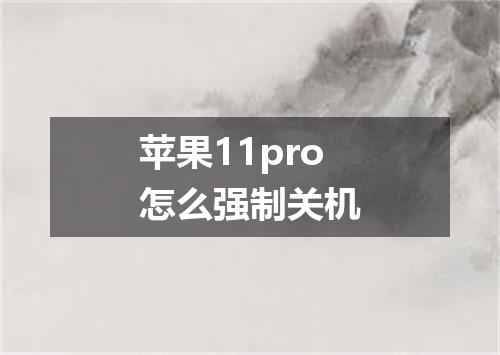 苹果11pro怎么强制关机