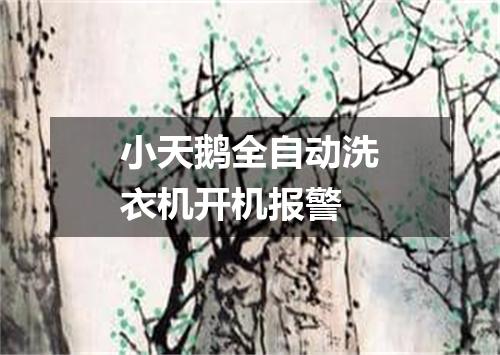 小天鹅全自动洗衣机开机报警