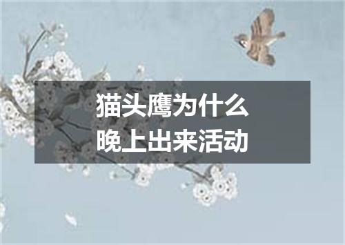 猫头鹰为什么晚上出来活动