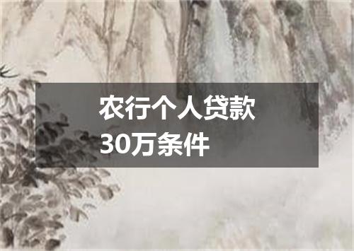 农行个人贷款30万条件
