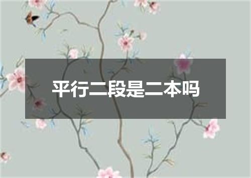 平行二段是二本吗