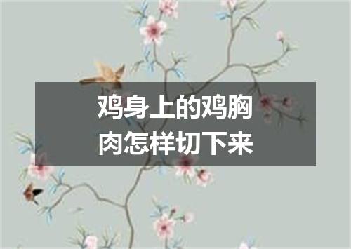 鸡身上的鸡胸肉怎样切下来