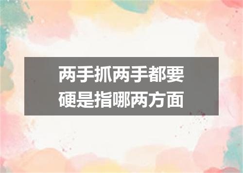 两手抓两手都要硬是指哪两方面