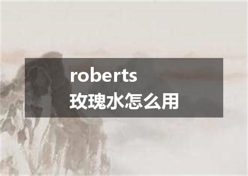 roberts玫瑰水怎么用