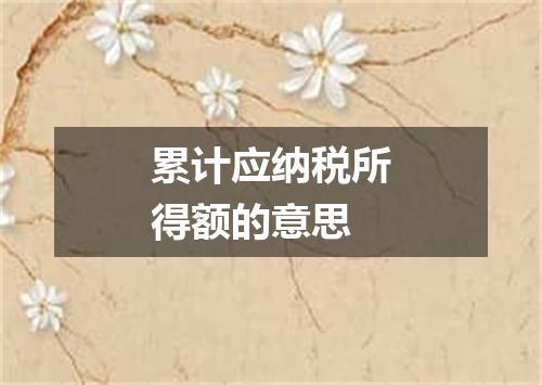 累计应纳税所得额的意思