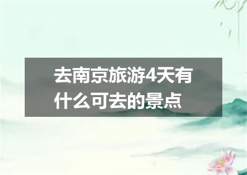 去南京旅游4天有什么可去的景点