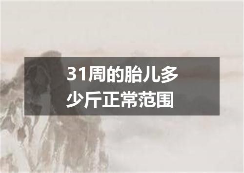31周的胎儿多少斤正常范围