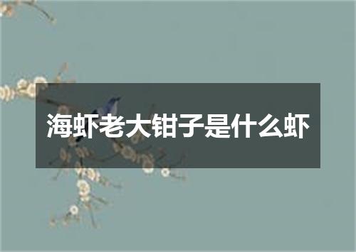 海虾老大钳子是什么虾