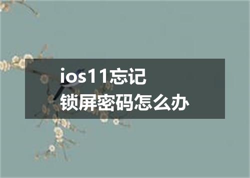 ios11忘记锁屏密码怎么办