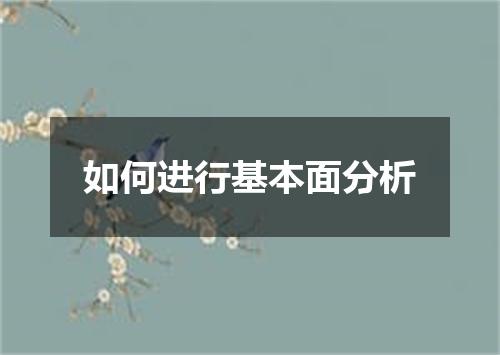 如何进行基本面分析