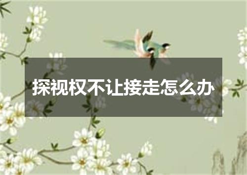 探视权不让接走怎么办