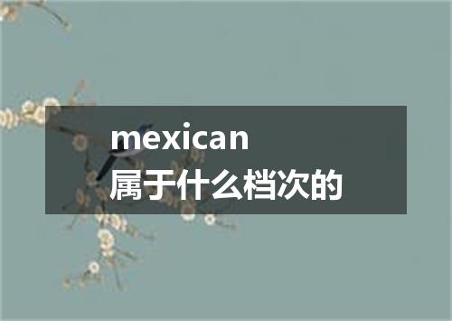 mexican属于什么档次的