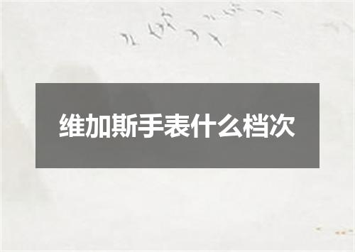维加斯手表什么档次