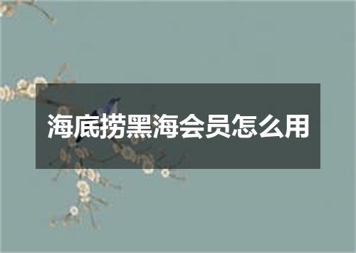 海底捞黑海会员怎么用