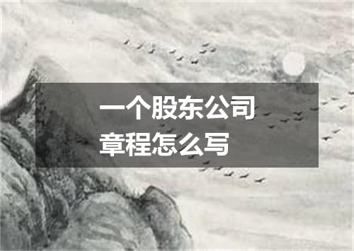 一个股东公司章程怎么写