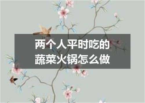 两个人平时吃的蔬菜火锅怎么做